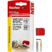 Carica l'immagine nel visualizzatore di Gallery, Fischer 10 Ganci Appendi Quadri Ottonati con Tassellini 4mm e Clip di Fissaggio, Installazione Pulita su Muro per Cornic