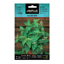 Carica l'immagine nel visualizzatore di Gallery, Battle - Semi Aromatici Menta di Gatto (Semi - 80-100Cm)
