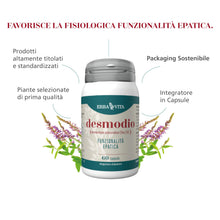 Carica l'immagine nel visualizzatore di Gallery, ERBA VITA Integratore Alimentare di Desmodio - 60 Capsule - È utile alla depurazione e detossificazione del fegato