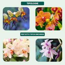 Carica l'immagine nel visualizzatore di Gallery, Concime Orchidee, 330ml