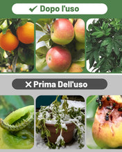 Carica l'immagine nel visualizzatore di Gallery, Set di 6 Telo Antigelo in Tessuto Non Tessuto per Piante 60x80 cm,Protezione per Piante da Esterno Contro Gelo,Vento e I