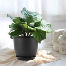 Carica l'immagine nel visualizzatore di Gallery, FORAGIFT Vasi per Piante da Interno di 25/23/20 cm - Set di 3 con Fori di Drenaggio e Sottovaso, Plastica Decorativa Mod