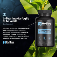 Carica l'immagine nel visualizzatore di Gallery, HyBlue L Teanina 200 mg, 120 cps, 100% Vegano, Fino 4 Mesi