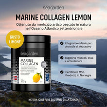 Carica l'immagine nel visualizzatore di Gallery, Seagarden Collagene Marino Puro Tipo 1 Limone - 300 g
