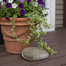 Carica l'immagine nel visualizzatore di Gallery, com-four® Pietra Nascondiglio "Pebblestone" con Scomparto Segreto