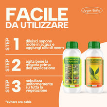 Carica l'immagine nel visualizzatore di Gallery, Argan Italia - Olio di Neem e Sapone Molle Potassico per Piante 1+1 Litri, Olio di Neem Solubile Agisce Naturalmente Con