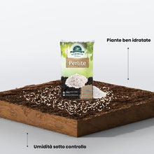 Carica l'immagine nel visualizzatore di Gallery, Perlite Giardinaggio, 5L