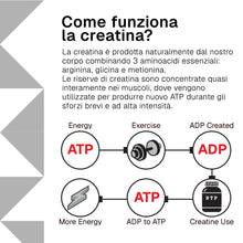 Carica l'immagine nel visualizzatore di Gallery, Creatina Monoidrata Compresse, 3000 mg per dose RTP, 500 Pastiglie