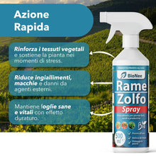 Carica l'immagine nel visualizzatore di Gallery, Rame Zolfo Spray 500 ml – Trattamento naturale pronto all’uso per piante ornamentali, da frutto, orto e giardino – Con r