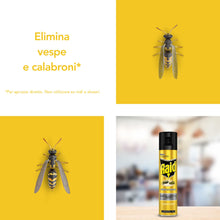 Carica l'immagine nel visualizzatore di Gallery, Raid Insetticida Spray, Vespe e Calabroni, Azione Rapida, 1 Pezzo da 400ml