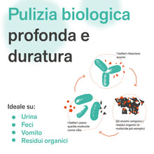Carica l'immagine nel visualizzatore di Gallery, BactPro - BactHome - elimina odori, macchie di sudore e urina da materassi, vestiti, tessuti, scarpe e attrezzature spor