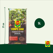 Carica l'immagine nel visualizzatore di Gallery, COMPO SANA® Terriccio Per Bonsai, Substrato Specifico, 5L