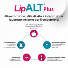 Carica l'immagine nel visualizzatore di Gallery, Lipalt Plus - Integratore Senza Monacolina K - Integratore a Base di Coenzima Q10, Bergamotto, Carciofo e Policosanoli -