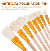 Carica l'immagine nel visualizzatore di Gallery, PartyKindom 8 pennelli per impollinazione manuale per piante grasse e alberi da frutto, strumento portatile per impollinazione delle api per la cura del giardino e delle piante