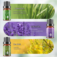 Carica l'immagine nel visualizzatore di Gallery, Oli Essenziali Set per Diffusore 6x10ML, Oli Essenziali Naturali per Aromaterapia,SPA – Lavanda,Menta Piperita,Eucalipto