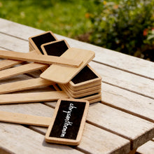 Carica l'immagine nel visualizzatore di Gallery, 20 Pezzi Etichette per Piante in Legno Nere,Mini Etichette Lavagna per Piante da Giardino, Targhette a T per Semi di Ver