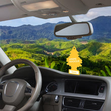 Carica l'immagine nel visualizzatore di Gallery, Arbre Magique Duo Pack Vaniglia – Profumatore per Auto – 7 Settiane di Naturale Freschezza - Durata Costante – Fragranza