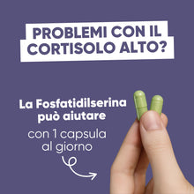 Carica l'immagine nel visualizzatore di Gallery, Fosfatidilserina 450mg potenziata con Moringa BIO | Utile per Cortisolo
