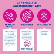 Carica l'immagine nel visualizzatore di Gallery, Montefarmaco Lactoflorene CIST Integratore Alimentare 20 Bustine Duocam