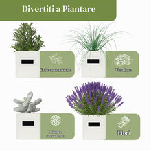 Carica l'immagine nel visualizzatore di Gallery, PERFNIQUE Set di fioriere da giardino per erbe aromatiche da interni, con vassoio, vasi per piante da fattoria, fioriera