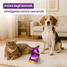 Carica l'immagine nel visualizzatore di Gallery, Trappole per Tarme dei Vestiti (6 Pezzi) | Trappole Adesive a Feromoni per Armadi, Cassetti &amp; Tappeti | Rilevamento Tarm
