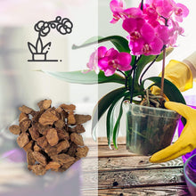 Carica l'immagine nel visualizzatore di Gallery, Kalapanta Bark per Orchidee Linea Professionale, 2 Litri, Pezzatura 5-15 mm, Substrato a Base di Corteccia di Pino Marit
