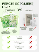 Carica l'immagine nel visualizzatore di Gallery, HERBAL AGE Semi Piante Aromatiche Kit Giardinaggio, 12 Erbe Aromatiche Kit Semi Orto, 8700 semi, Lattuga, Prezzemolo, An