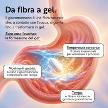 Carica l'immagine nel visualizzatore di Gallery, Glucomannano Forte 4000 mg PiùLife da Konjac Tit. 95% - 240 Compresse