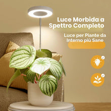 Carica l'immagine nel visualizzatore di Gallery, Bamworld Luce di Crescita LED per Piante da Interno, Lampada ad Anello a Spettro Completo 380-800nm, Inserimento nel Vas
