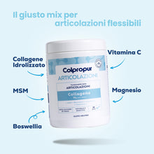 Carica l'immagine nel visualizzatore di Gallery, Collagene in Polvere Idrolizzato - Gusto Neutro - 30 Dosi