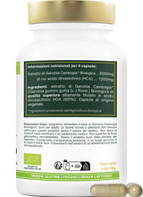 Carica l'immagine nel visualizzatore di Gallery, Garcinia Cambogia BIO | Rapida azione ed Efficiente | Alta concentrazione, 60% HCA | 2000mg / giorno | Sazietà | Qualità
