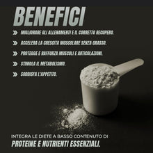 Carica l'immagine nel visualizzatore di Gallery, Healthy Fusion Whey Protein | Proteina Whey pura con Collagene e Magnesio | Migliora i tuoi allenamenti | Protegge e aum