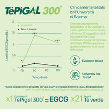 Carica l'immagine nel visualizzatore di Gallery, EGCG da tè verde ≥95% - Stimolante metabolico, blocca-fame, energizzante