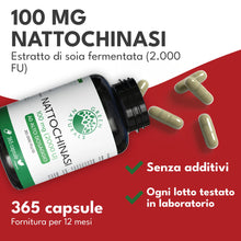 Carica l'immagine nel visualizzatore di Gallery, Green Naturals Nattokinasi 100 mg – 2.000 FU per capsula – 365 capsule