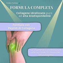 Carica l'immagine nel visualizzatore di Gallery, Collagene e Acido Ialuronico - Collagene Idrolizzato con Acido Ialuronico Coenzima Q10 + Vitamina C + Magnesio, Vitamina