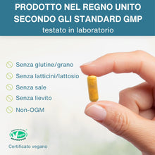 Carica l'immagine nel visualizzatore di Gallery, Igennus Longvida Curcumina 500 mg, 285x Maggiore Biodisponibilità, Vegano