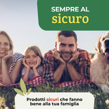 Carica l'immagine nel visualizzatore di Gallery, Albagarden - Semi Prato Universale Resistente - 40m² - Per Zone Ombreggiate e Soleggiate - Sementi Erba per Tappeti Erbo