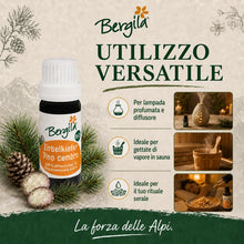 Carica l'immagine nel visualizzatore di Gallery, Bergila olio essenziale PINO CEMBRO BIO, 10 ml - 100% naturale di materia prima biologica - qualità controllata e certif