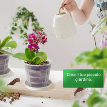 Carica l'immagine nel visualizzatore di Gallery, 8 vasi trasparenti per orchidee, 11/14/16/19 cm, in plastica