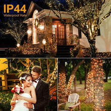 Carica l'immagine nel visualizzatore di Gallery, Avoalre Luci di Natale 1000 LEDs 25M, Catena Luminosa 8 Modalità Impermeabile IP44 Luci Albero di Natale Decorative per Interno Esterno Natale Atmosfera Romantica Camera Festa Nozze, Bianco Caldo