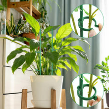 Carica l'immagine nel visualizzatore di Gallery, Tutore per Piante 20 Pezzi Sostegno per Piante con 20 Moschettoni 10 Collegamento Tubis Plant Stand Bastone per Piantes 