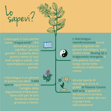 Carica l'immagine nel visualizzatore di Gallery, ASTRAGALO BIO Vegavero® | 5600 mg | Titolato in Polisaccaridi | ADATTOGENO per DIFESE IMMUNITARIE | 120 capsule | Vegan
