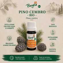 Carica l'immagine nel visualizzatore di Gallery, Bergila olio essenziale PINO CEMBRO BIO, 10 ml - 100% naturale di materia prima biologica - qualità controllata e certif