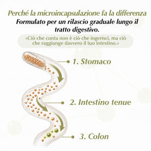 Carica l'immagine nel visualizzatore di Gallery, Optim butirrato di sodio 285 mg, 90 capsule vegane a rilascio ritardato