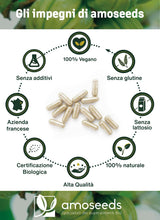 Carica l'immagine nel visualizzatore di Gallery, Garcinia Cambogia BIO | Rapida azione ed Efficiente | Alta concentrazione, 60% HCA | 2000mg / giorno | Sazietà | Qualità