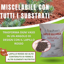 Carica l'immagine nel visualizzatore di Gallery, GEOSISM &amp; NATURE - Lapillo vulcanico rosso, 100% naturale, per giardinaggio, drenaggio, pacciamatura, vasi e terrari (5/