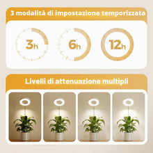 Carica l'immagine nel visualizzatore di Gallery, Bamworld Luce di Crescita LED per Piante da Interno, Lampada ad Anello a Spettro Completo 380-800nm, Inserimento nel Vas