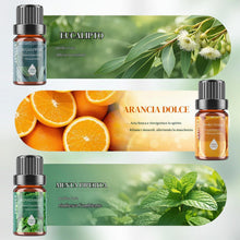 Carica l'immagine nel visualizzatore di Gallery, Oli Essenziali Set per Diffusore 6x10ML, Oli Essenziali Naturali per Aromaterapia,SPA – Lavanda,Menta Piperita,Eucalipto