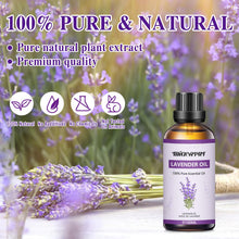 Carica l'immagine nel visualizzatore di Gallery, MIGCAPUT Olio Essenziale di Lavanda 100ML, Olio di Lavanda di Grado Terapeutico, 100% Naturale Oli Essenziali di Aromate