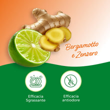 Carica l'immagine nel visualizzatore di Gallery, Winni's Detersivo Piatti a mano, Bergamotto e Zenzero, 480 ml x 12